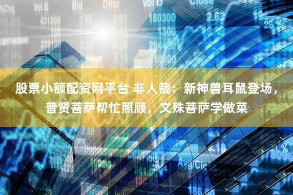 股票小额配资网平台 非人哉：新神兽耳鼠登场，普贤菩萨帮忙照顾，文殊菩萨学做菜