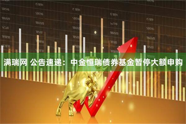 满瑞网 公告速递:中金恒瑞债券基金暂停大额申购